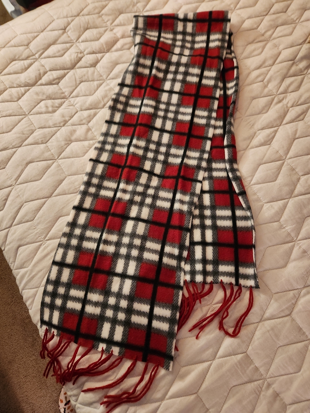 Red Plaid Fringe Scarf